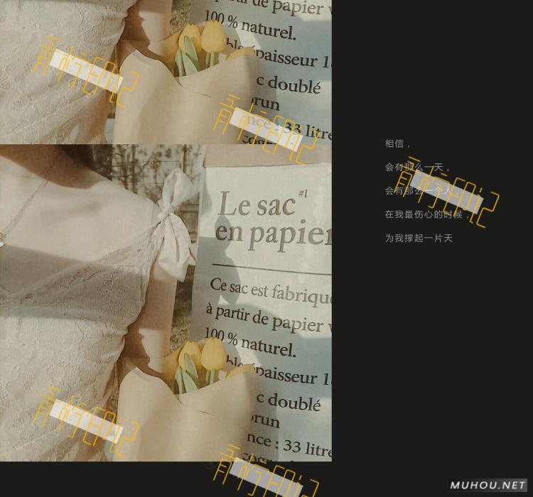 Luts调色预设：8组法式怀旧胶片效果人像视频调色滤镜下载（LR-PR-AE-PS-FCPX-达芬奇）
