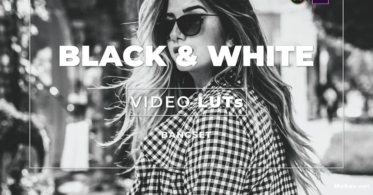 Luts视频预设-Bangset黑白视频色调Bangset Black & White Video LUTs插图