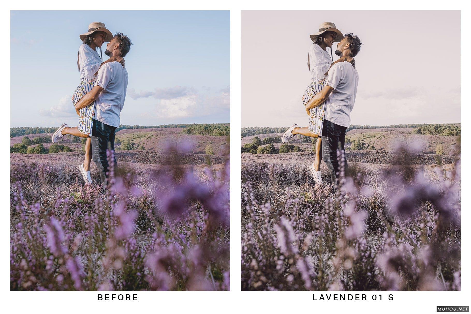 Luts调色预设-20组淡淡的褐色马达加斯加色调滤镜20 Vanilla Light Lightroom Presets and LUTs插图9