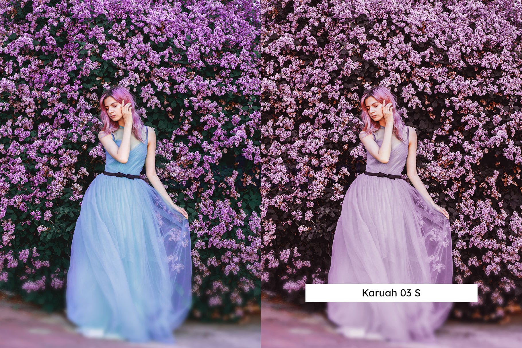 Luts调色预设-20个梅花薰衣草紫罗兰色调调色视频滤镜Plum Lightroom Presets & LUTs插图9