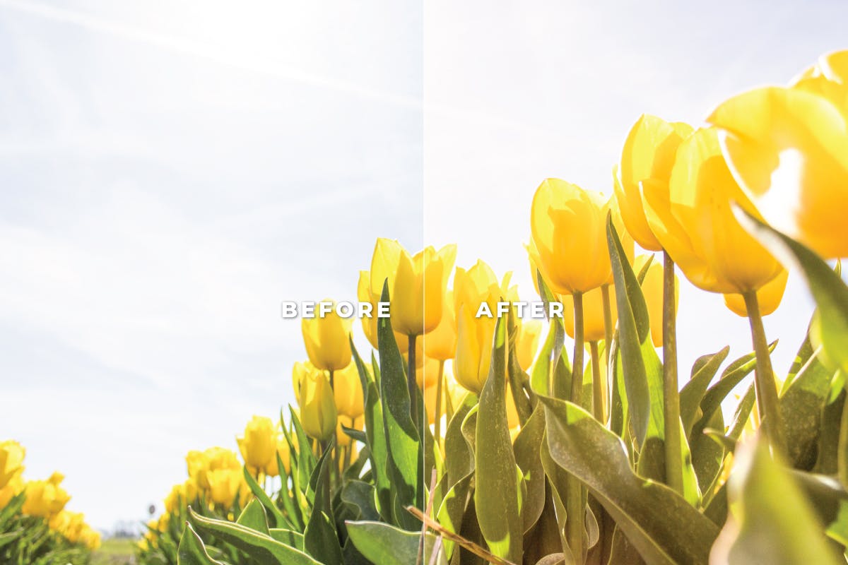 Luts视频预设-5组夏季向日葵色调阳光调色滤镜Summer Pack Video LUTs Vol.1插图10