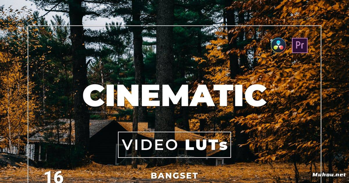 Luts视频预设-夏季海滩旅行5组调色滤镜Bangset Cinematic Pack 16 Video LUTs插图
