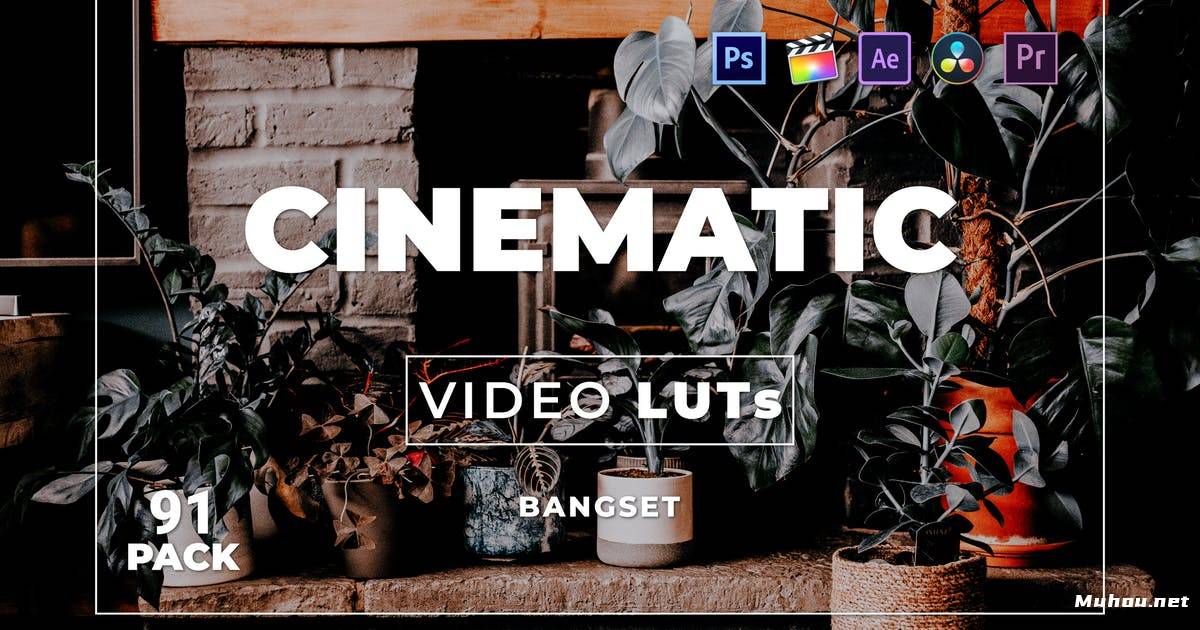 Luts视频预设-5套电影质感调色滤镜Bangset Cinematic Pack 91 Video LUTs插图