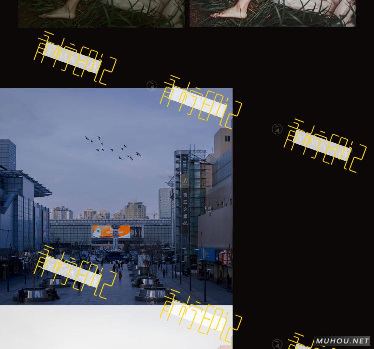 Luts调色预设：视频调色（LR-PR-AE-PS-FCPX-达芬奇）