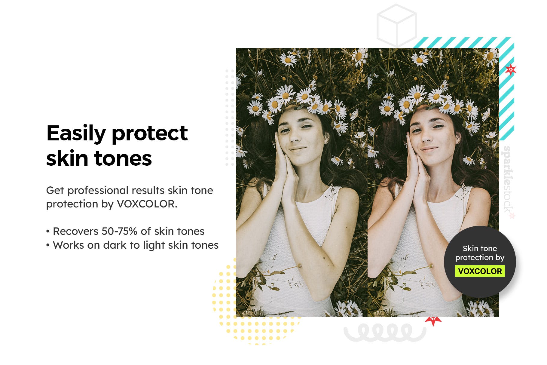 Luts调色预设-20个洋甘菊室内棚拍花朵调色滤镜 Chamomile Lightroom Presets & LUTs插图14