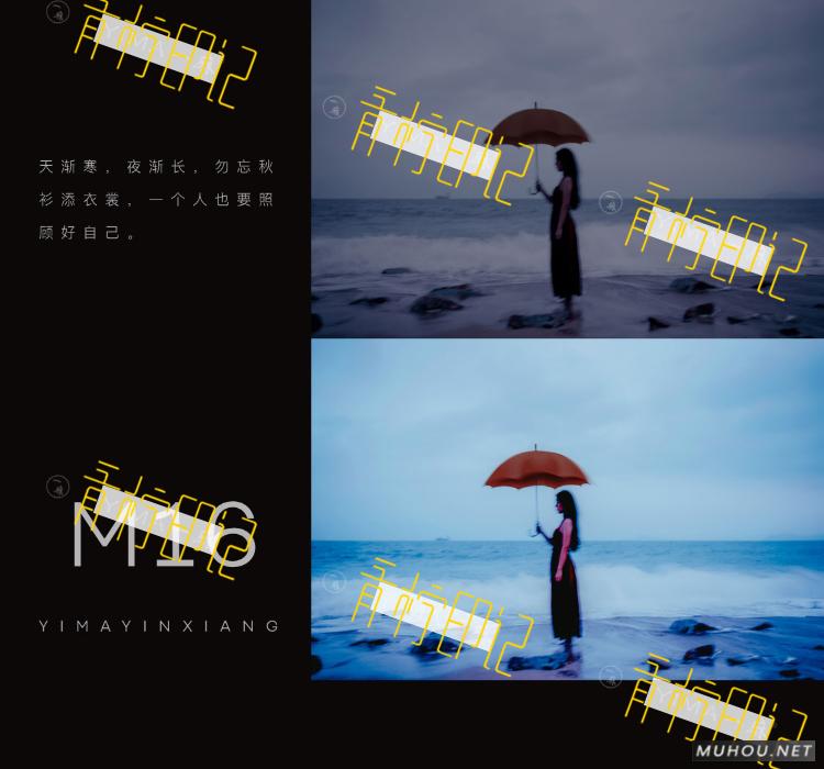 Luts调色预设：视频调色（LR-PR-AE-PS-FCPX-达芬奇）