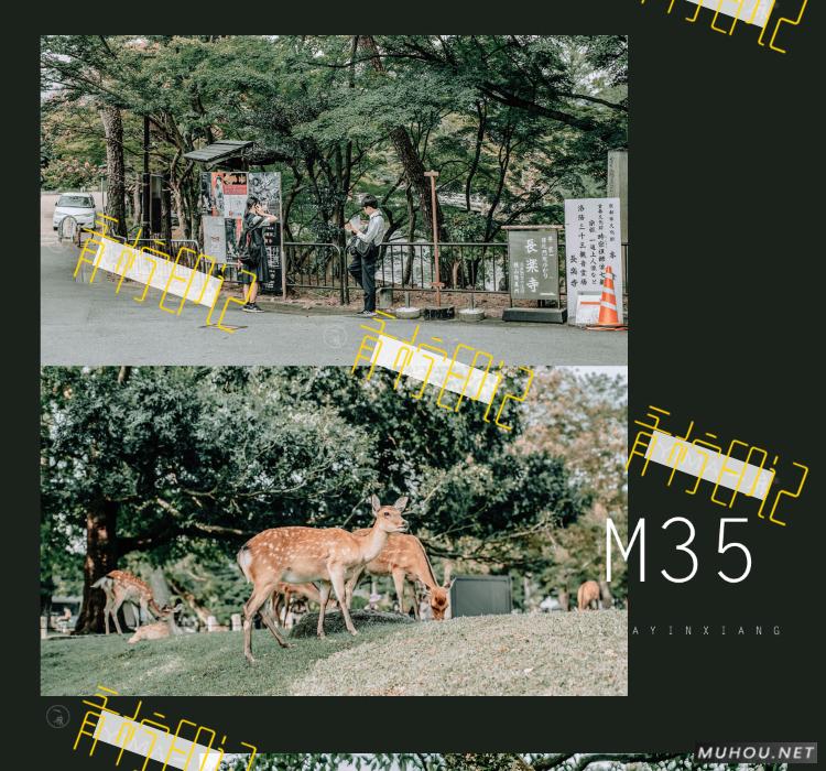 Luts调色预设：视频调色（LR-PR-AE-PS-FCPX-达芬奇）