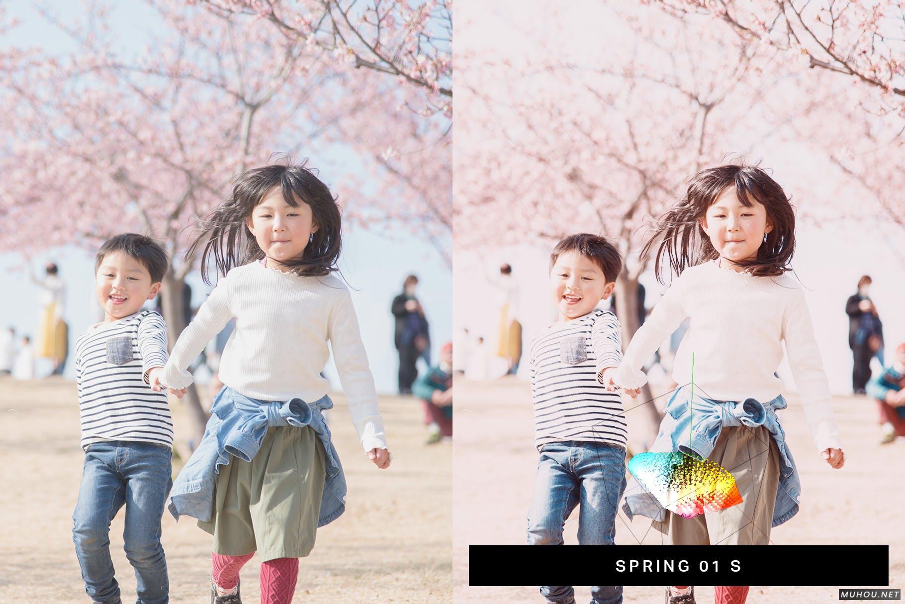 Luts调色预设-50组浪漫日本武汉樱花照片视频调色色调 50 Sakura Pink Lightroom Presets and LUTs插图12