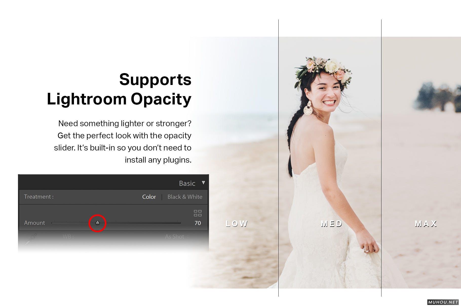 Luts调色预设-50套白色主题婚礼婚纱室外色调滤镜50 Editorial Lightroom Presets and LUTs插图10