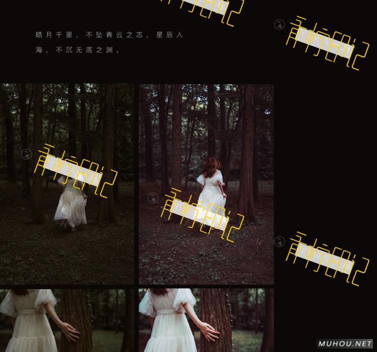Luts调色预设：视频调色（LR-PR-AE-PS-FCPX-达芬奇）