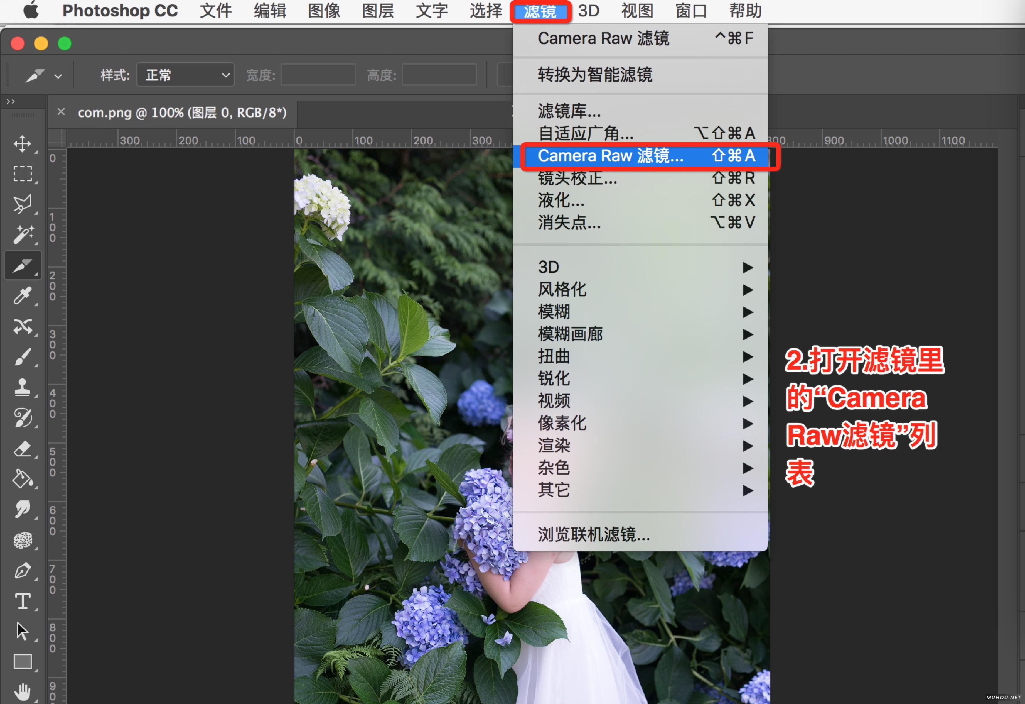 【PS调色预设安装】PS/ACR预设文件.xmp怎么导入Photoshop/Camera RAW+使用教程插图1