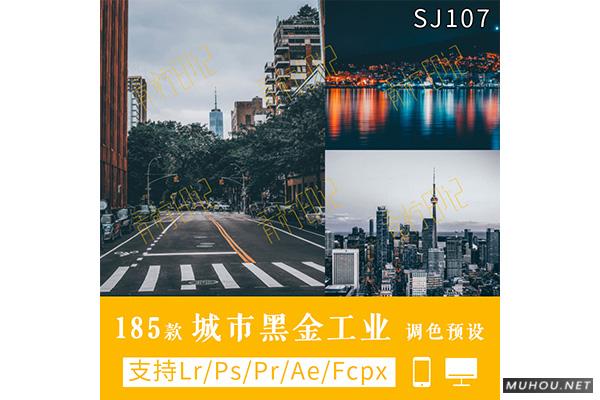 Luts调色预设：视频调色（LR-PR-AE-PS-FCPX-达芬奇）